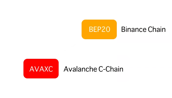 crypto payment multiple networks